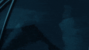 New Music Hello GIF by Manchester Orchestra