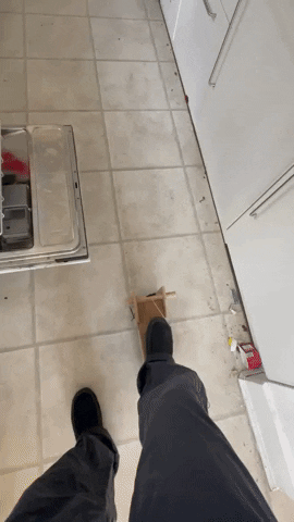 Freezyhello333 giphyupload GIF