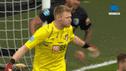 England Ligainggris GIF by MolaTV