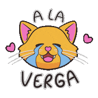 Sad Cat Sticker
