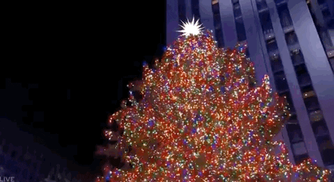 Merry Christmas GIF by NBC