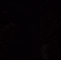 New Year Wtf GIF