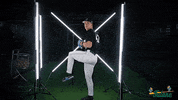 Tulane Rollwave GIF by GreenWave