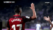 la liga soccer GIF by Sevilla Fútbol Club