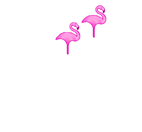 pinkflamingogoldcoast giphyupload pink fabulous flamingo Sticker