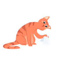 colearn tissue neco colearn colearnclassroom Sticker