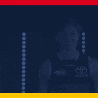 Afl GIF by Adelaide Crows