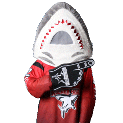 Hockey Nhl Sticker by Koelner Haie