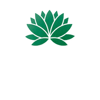 Plantas Sticker by Jardim Exótico