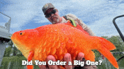 Hungry Friday GIF by U.S. Fish and Wildlife Service