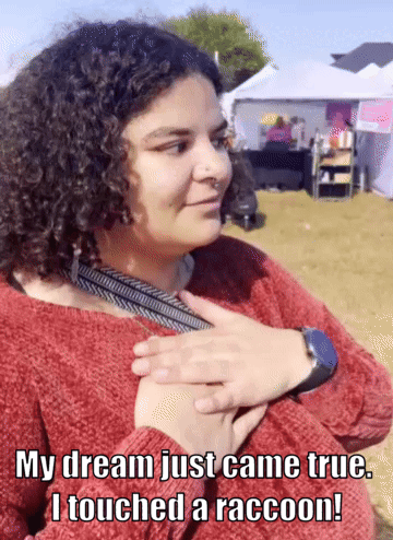 Oldflowers i touched a raccoon my dream just came true GIF