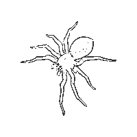 Spider Agenda 2030 Sticker by Lake Vänern Archipelago and Mount Kinnekulle UNESCO Biosphere Reserve