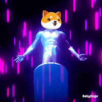 Lets Go Win GIF by Baby Doge Coin