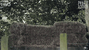 bbc two attack GIF by BBC