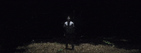 New Country Glasshouse GIF by Sam Williams