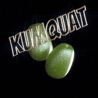 Lunar New Year Animation GIF by Mute Records