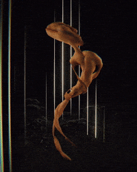 Glitch Wtf GIF by davidvnun