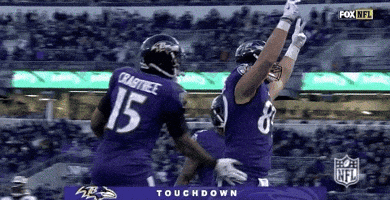 2018 Nfl Football GIF by NFL