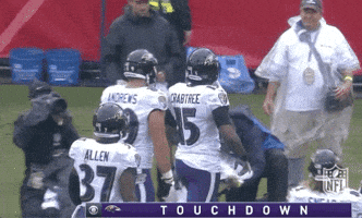 2018 Nfl Football GIF by NFL