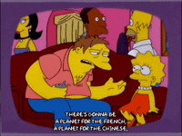 homer simpson television GIF