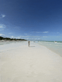 Isla Holbox GIF by CGTraveler - Carlos Garrido - Adventrgram