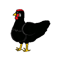 Chicken Dresden Sticker