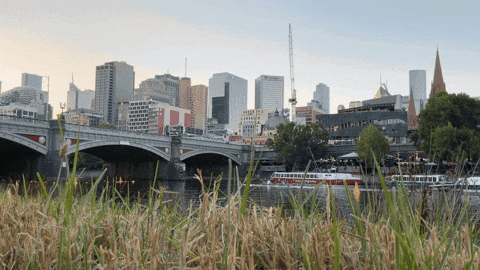 Valdr giphyupload melbourne GIF