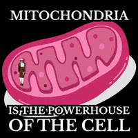 Education Learning GIF