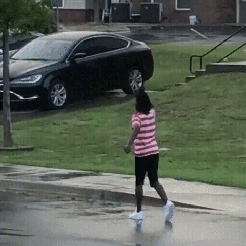 pesky wabbit GIF