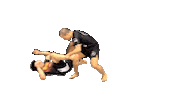 Sticker by diazcombatsports