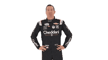 Who Knows Shrug Sticker by Richard Childress Racing
