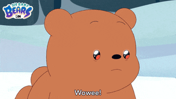 Ice Bear Wow GIF by Cartoon Network
