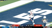 New England Patriots Football GIF by NFL