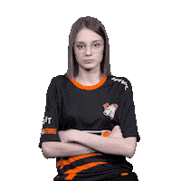 The Bears Esports Sticker by Virtus.pro