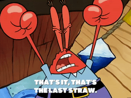 season 5 new digs GIF by SpongeBob SquarePants