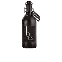 weingutsteyrer gin bgin b-gin Sticker