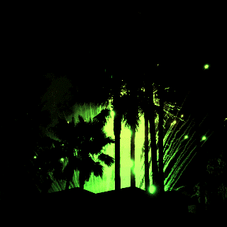4th of july fireworks GIF by dani