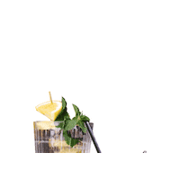 dis_noordkade hot drink water tea Sticker