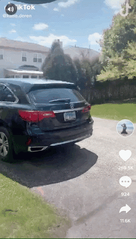 tingtinglu giphyupload GIF