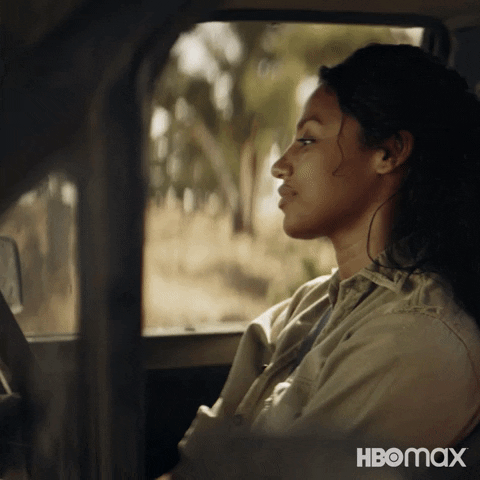 Disappear The Tourist GIF by HBO Max