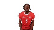 Switzerland Bryan Sticker by Swiss Football Association