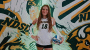 Volleyball Bison GIF by NDSU Athletics