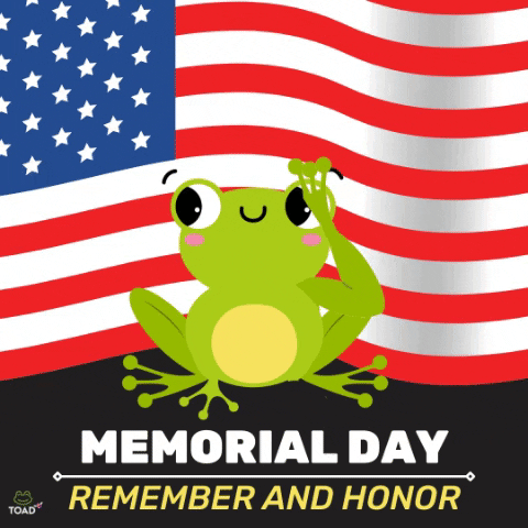 toad8 giphygifmaker memorialday toad8 GIF