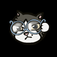irene_hsyu cat wow what omg GIF