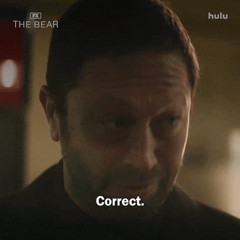 Understand You Got It GIF by The Bear