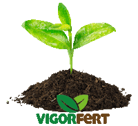 VigorFertilizantes agro vigorfert Sticker