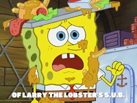 season 8 GIF by SpongeBob SquarePants