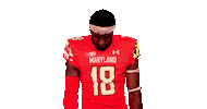 College Football Sticker by Maryland Terrapins