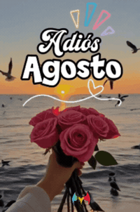 Gracias Flores GIF by Murcianys LLC