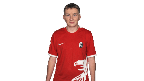 Keep On Sc Freiburg Sticker by Bundesliga